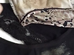 Cumming on wife's dirty stained panties knickers